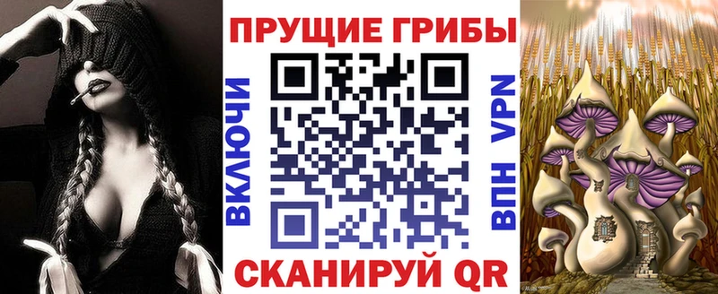 Галлюциногенные грибы Cubensis  Олонец 